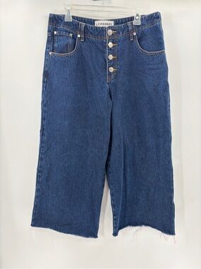L.F. Markey indie women’s button fly y2k 2010s Blue Wide-Leg Crop Jeans size 31
